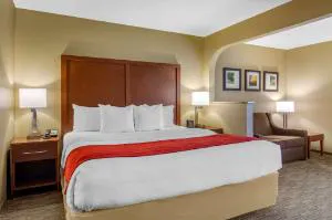 Comfort Inn & Suites LaGrange East hotel detail image 1