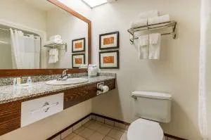 Comfort Inn Summerville - Charleston hotel detail image 3