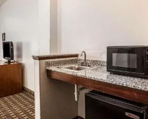 Comfort Inn Summerville - Charleston hotel detail image 4