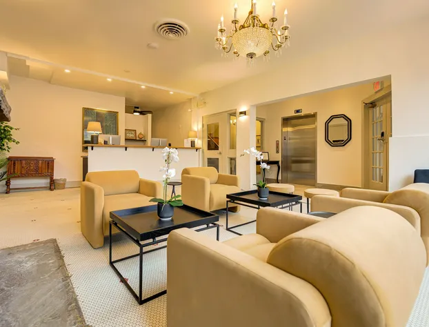 The Windsor Hotel by Hoco Hotels Collection hotel detail image 2