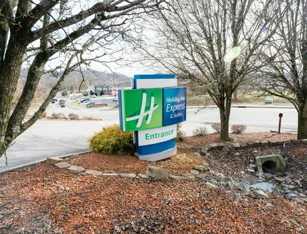 Holiday Inn Express & Suites Knoxville-North-I-75 Exit 112 by IHG hotel detail image 4