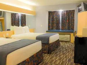 Microtel Inn & Suites by Wyndham Conyers/Atlanta Area hotel detail image 2