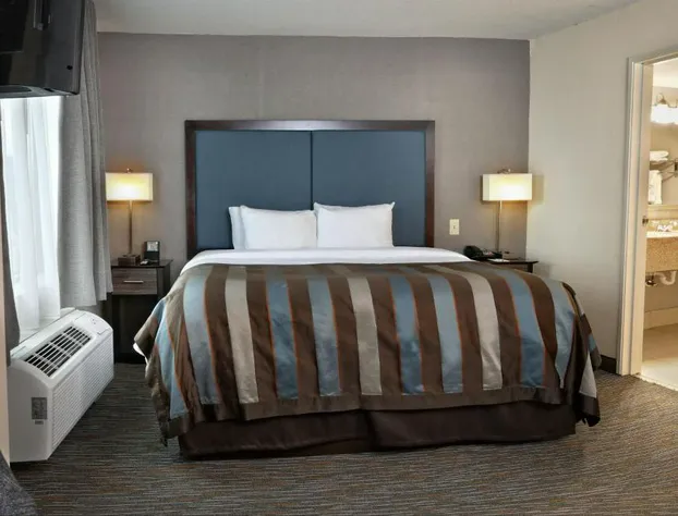 Wingate by Wyndham Savannah/Pooler hotel detail image 4