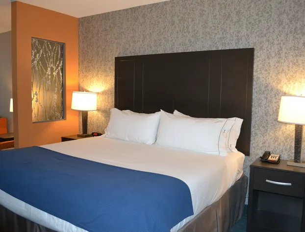 Holiday Inn Express Hotel & Suites Knoxville West -Papermill by IHG hotel detail image 3