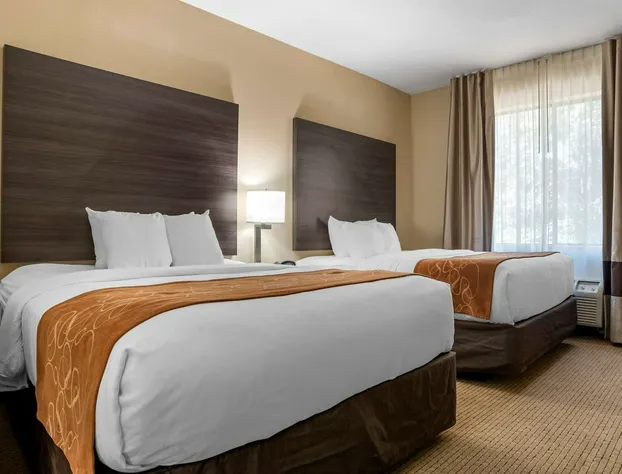 Comfort Suites Mobile hotel detail image 4