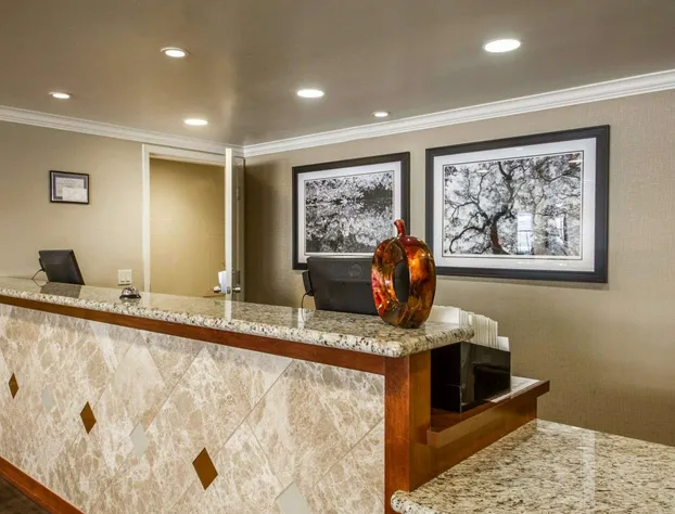 Hotel Med Park, an Ascend Collection Hotel hotel detail image 4