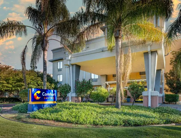 Comfort Suites Vacaville-Napa Valley Area hotel detail image 2