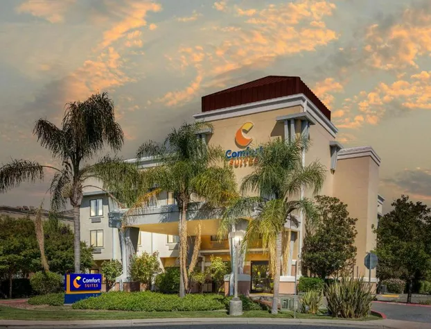 Comfort Suites Vacaville-Napa Valley Area hotel detail image 3