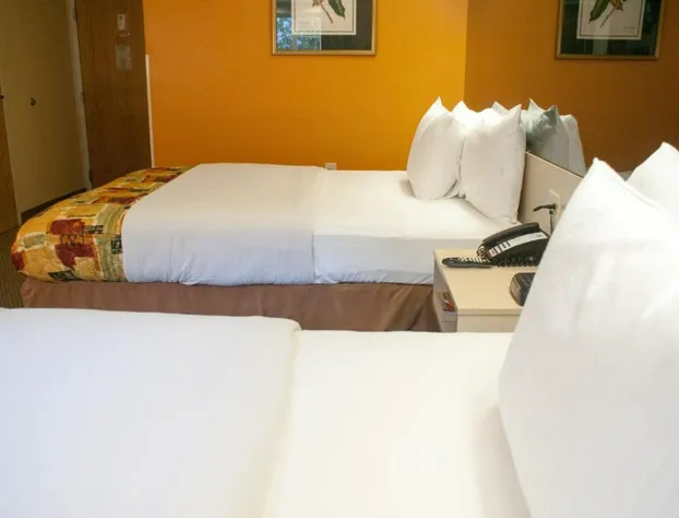 Hometown Inn & Suites Jacksonville - Butler Blvd./Southpoint hotel detail image 3