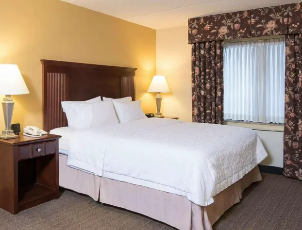 Hampton Inn Schenectady Downtown hotel detail image 2