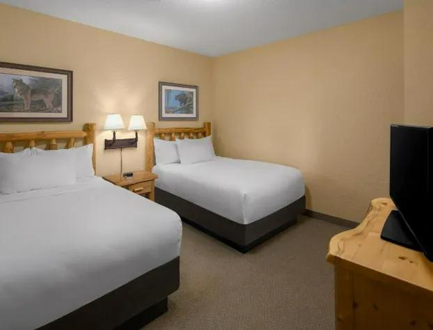 Great Wolf Lodge Wisconsin Dells hotel detail image 4