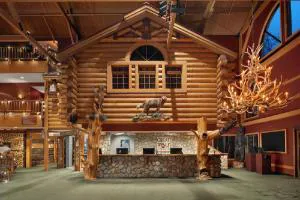Great Wolf Lodge Wisconsin Dells hotel detail image 3