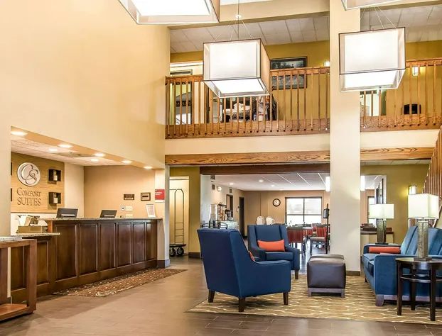 Comfort Suites Effingham Central hotel detail image 2