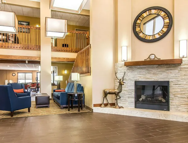 Comfort Suites Effingham Central hotel detail image 4