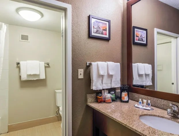 Comfort Inn Roswell-Dunwoody hotel detail image 4