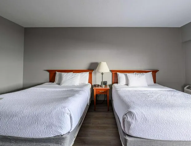 La Quinta Inn & Suites by Wyndham New Haven hotel detail image 3