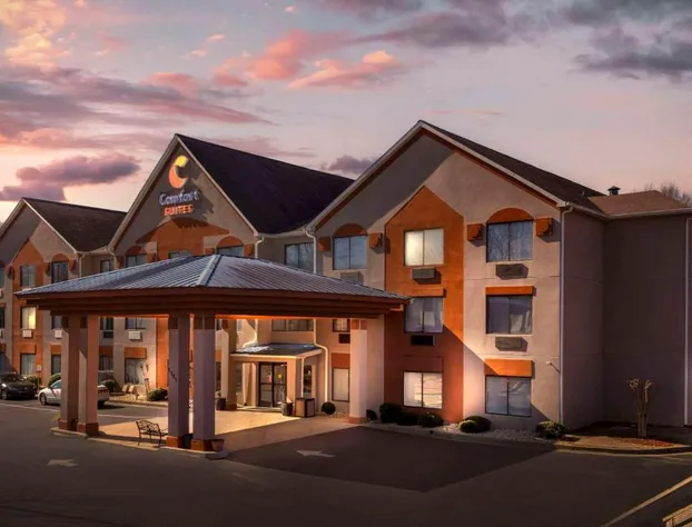 Comfort Suites Northside Hospital Gwinnett hotel detail image 1