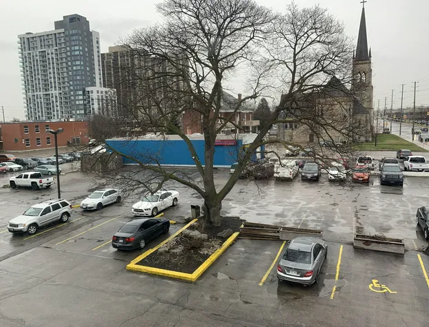 Econo Lodge London hotel detail image 1