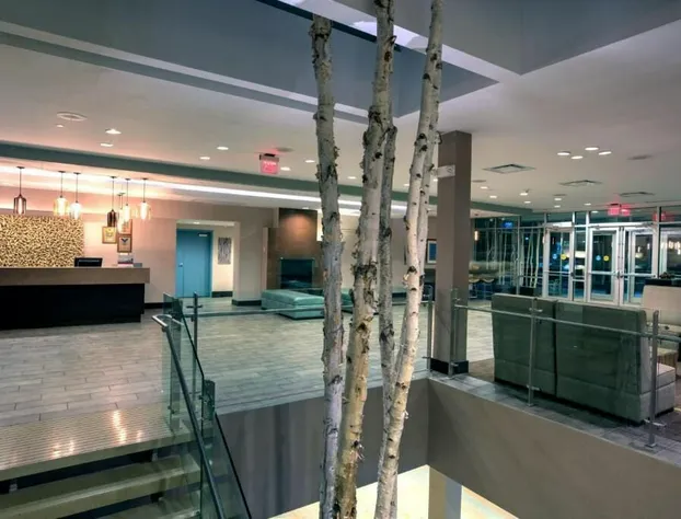 Crowne Plaza Lombard Downers Grove by IHG hotel detail image 2