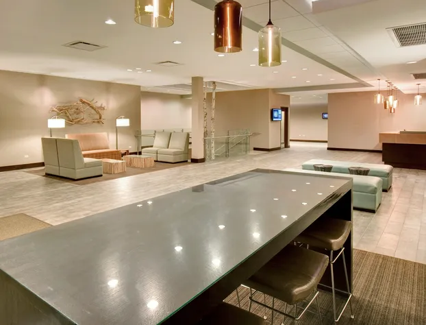 Crowne Plaza Lombard Downers Grove by IHG hotel detail image 4