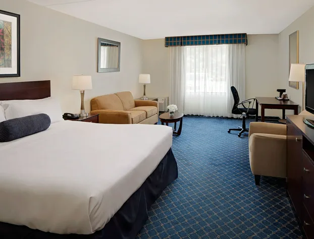 The Boxboro Regency hotel detail image 4