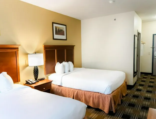 Country Inn & Suites by Radisson, Helen, GA hotel detail image 3
