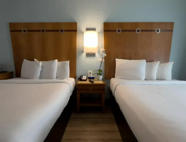 Majestic Hotel South Beach hotel detail image 4