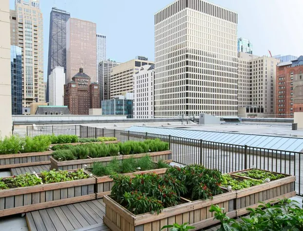 Chicago Marriott Downtown Magnificent Mile hotel detail image 1