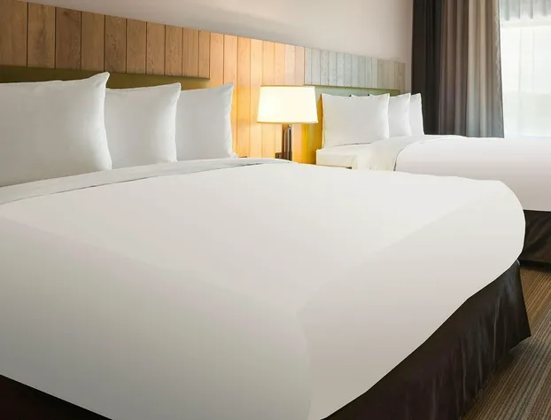 Spark by Hilton Washington Meadowlands Blvd hotel detail image 4