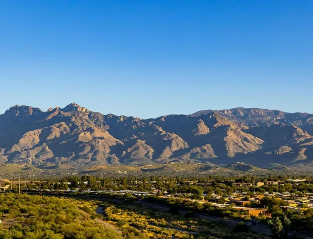 Hilton Tucson East hotel detail image 3