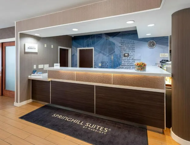 SpringHill Suites by Marriott Rochester-Mayo Clinic/St Marys hotel detail image 3