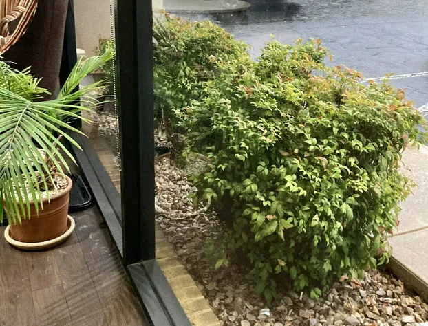 Rodeway Inn hotel detail image 2