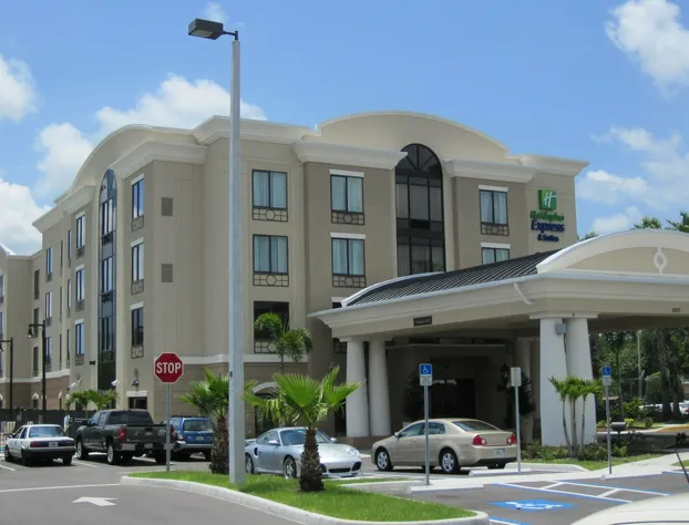 Holiday Inn Express & Suites Tampa USF Busch Gardens by IHG hotel detail image 1