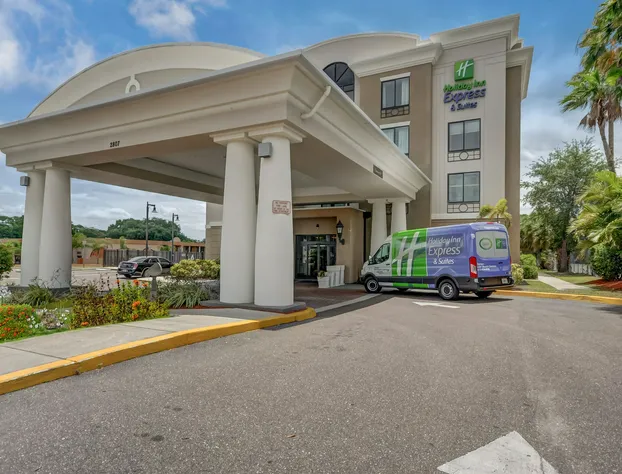 Holiday Inn Express & Suites Tampa USF Busch Gardens by IHG hotel detail image 4