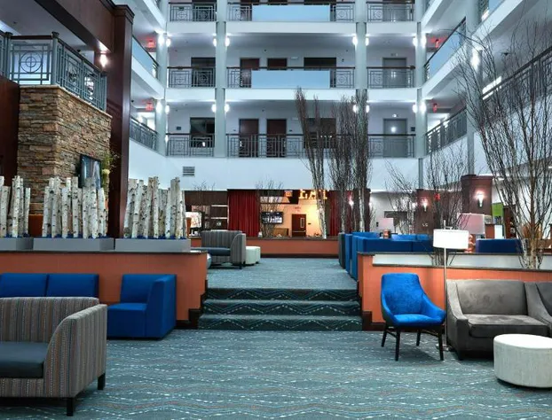 Holiday Inn Hotel & Suites Stockbridge / Atlanta I-75 by IHG hotel detail image 3