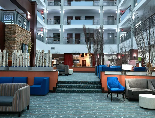 Holiday Inn Hotel & Suites Stockbridge / Atlanta I-75 by IHG hotel detail image 4