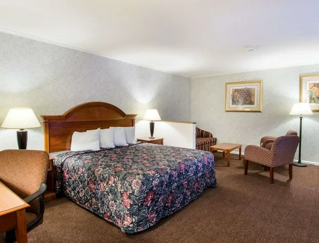 Econo Lodge Inn & Suites hotel detail image 4