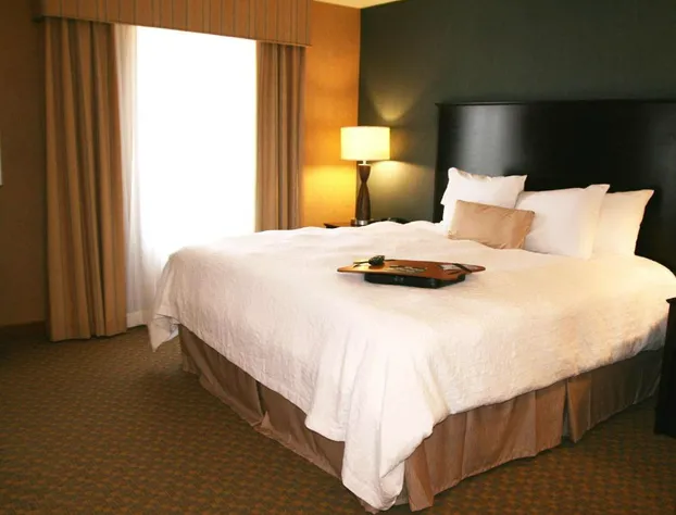 Hampton Inn & Suites Barstow hotel detail image 3