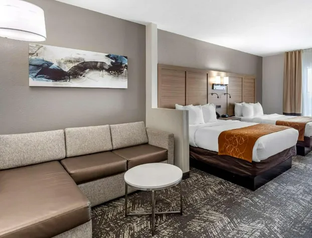 Comfort Suites Anderson-Clemson hotel detail image 4