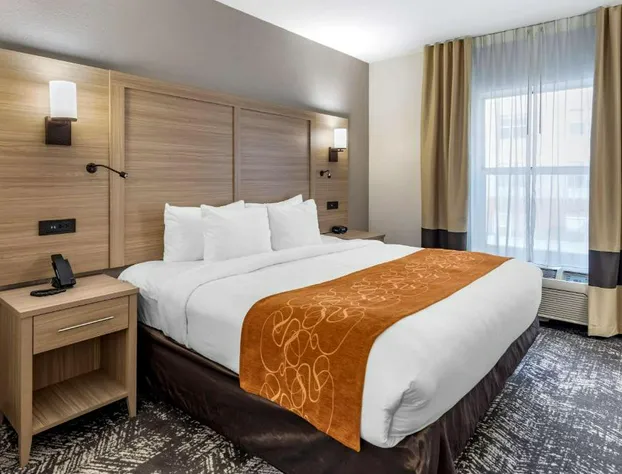 Comfort Suites Anderson-Clemson hotel detail image 4