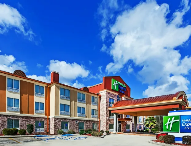 Holiday Inn Express Hotel & Suites Lafayette South by IHG hotel detail image 2
