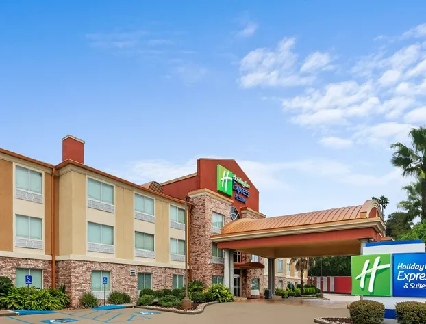 Holiday Inn Express Hotel & Suites Lafayette South by IHG hotel detail image 1