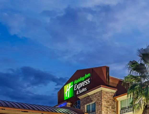 Holiday Inn Express Hotel & Suites Lafayette South by IHG hotel detail image 2