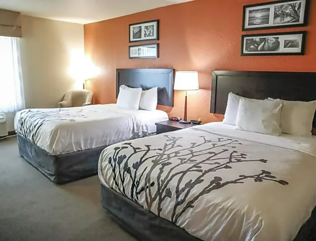 Sleep Inn and Suites - Ocala / Belleview hotel detail image 4