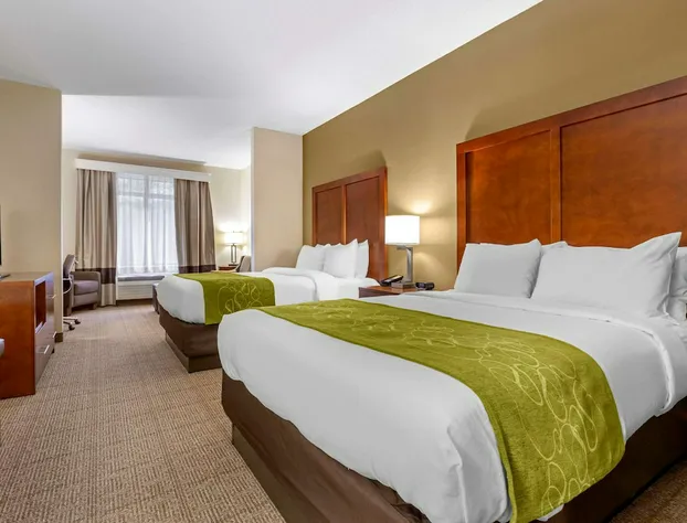 Comfort Suites Boone - University Area hotel detail image 2