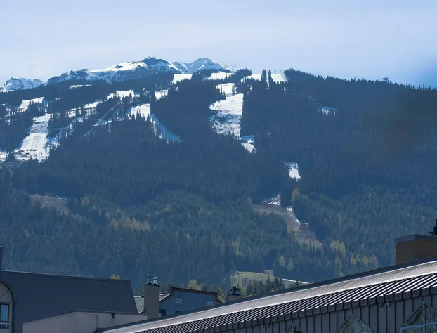 Adara Hotel hotel detail image 1