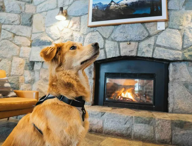 Adara Hotel hotel detail image 3