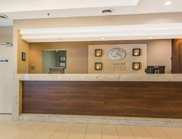 Comfort Suites Downtown hotel detail image 3