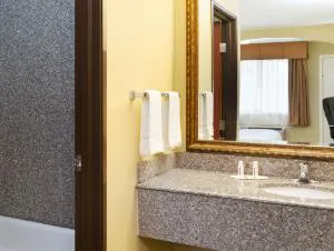 Howard Johnson by Wyndham Lafayette hotel detail image 4