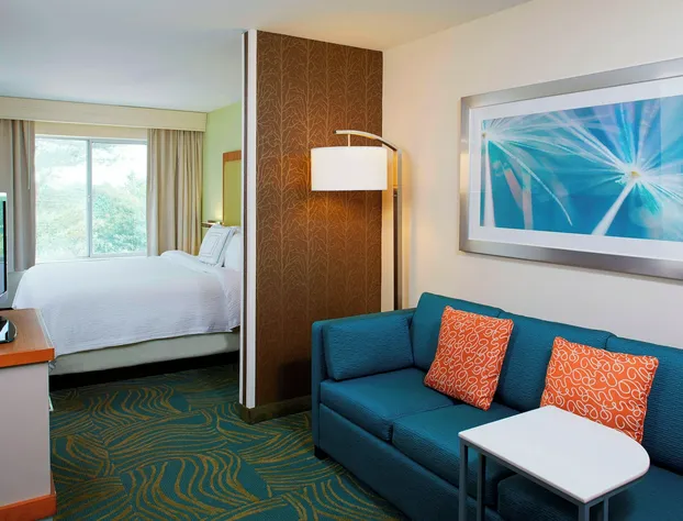 Springhill Suites By Marriott Atlanta Six Flags hotel detail image 4